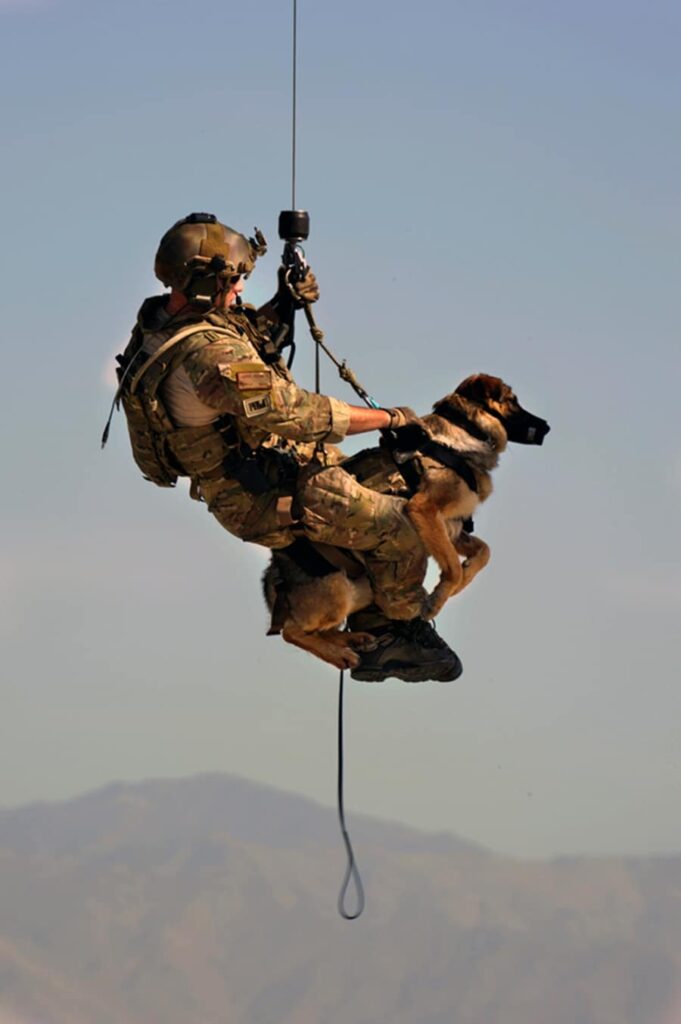 military-dogs